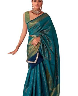 Women's kanjivaram banarasi silk saree for Patola festival Wedding silk with rich pallu Design s